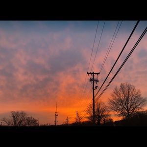 Meet your Posher, Celia